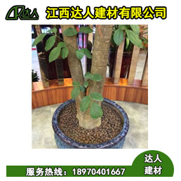 花卉園林陶粒好不好用？